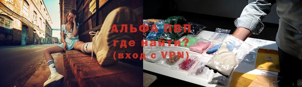 прущие грибы Зеленокумск