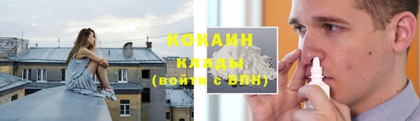 прущие грибы Зеленокумск